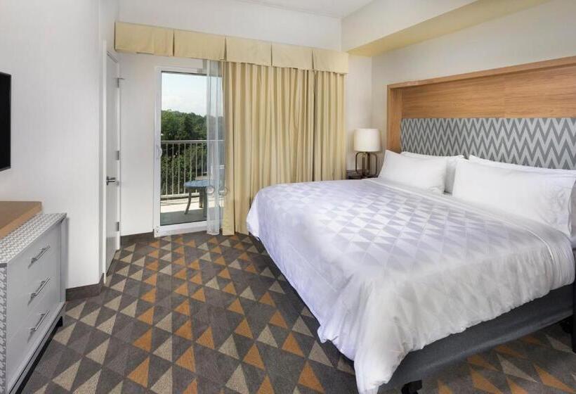 호텔 Holiday Inn & Suites Arden   Asheville Airport, An Ihg