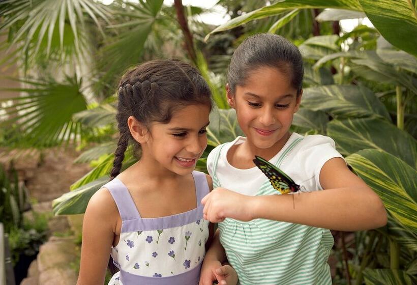 Hotel Holiday Inn Express Niagara On The Lake, An Ihg