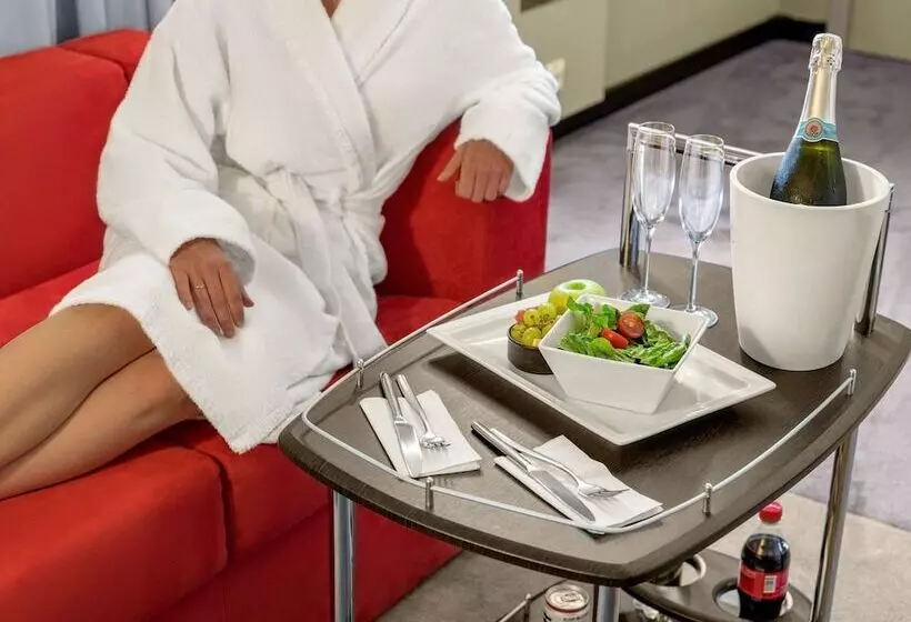 ホテル Ibis Moscow Domodedovo Airport