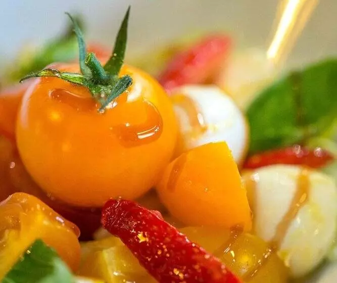 Hotelli Les Pins Blancs En Provence