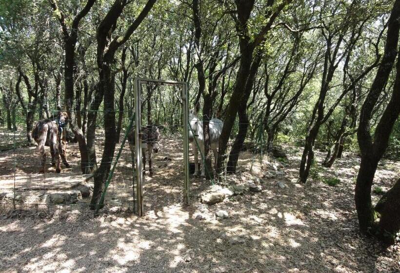 فندق Terrasses De L Aven