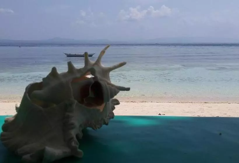 ベッドアンドブレックファースト Shirley S Cottage   Pamilacan Island