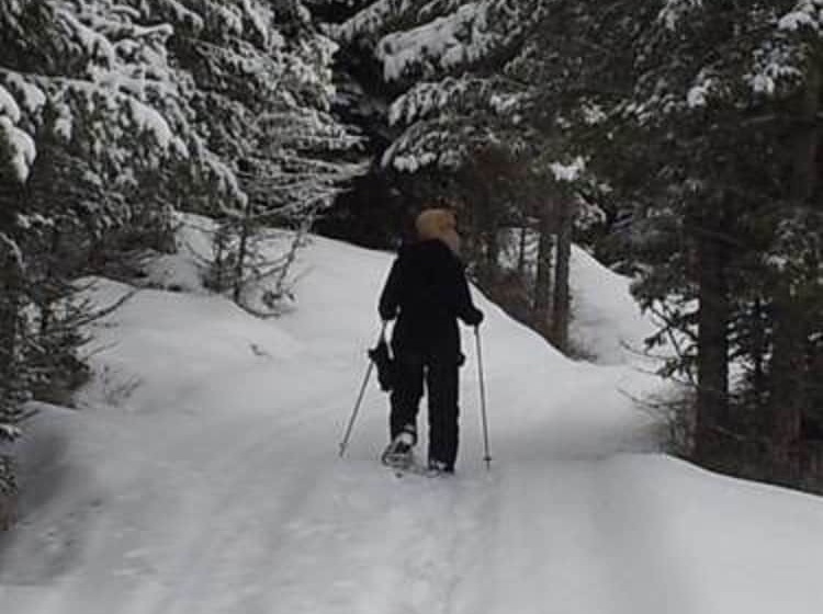 Bitterroot River B&b