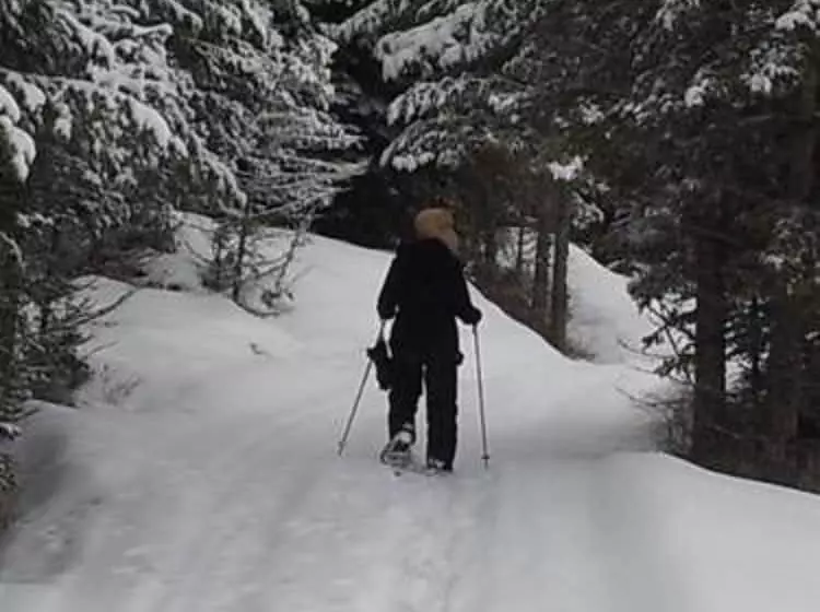 Bitterroot River B&b