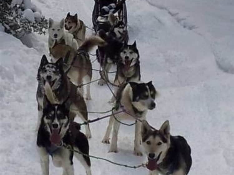 Bitterroot River B&b