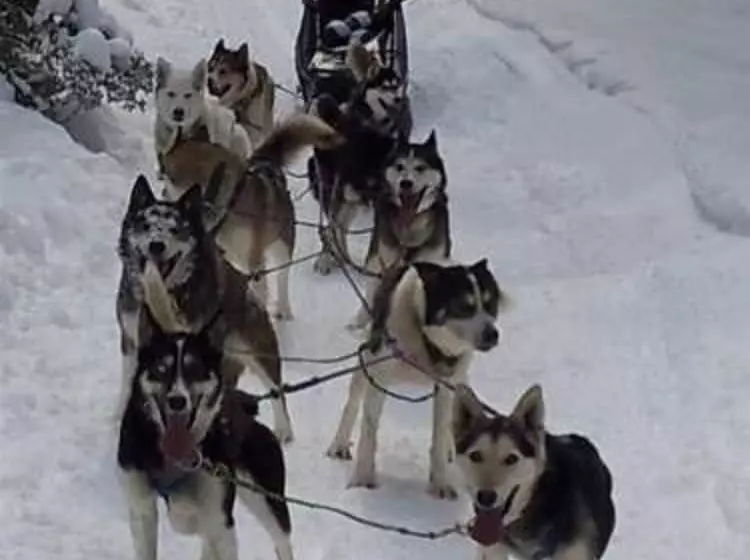 Bitterroot River B&b