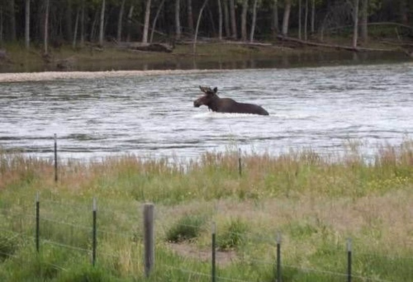Bitterroot River B&b