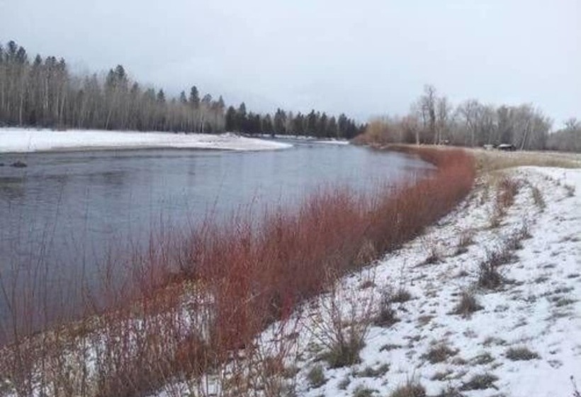 Bitterroot River B&b