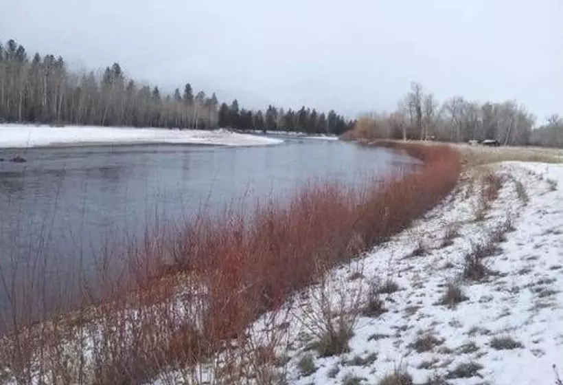 Bitterroot River B&b