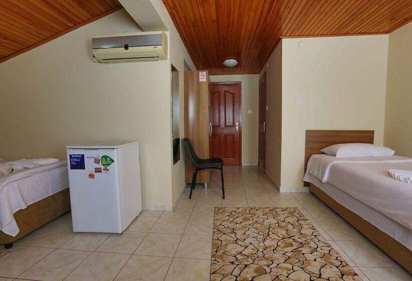 בית מלון כפרי Gizem Pansiyon