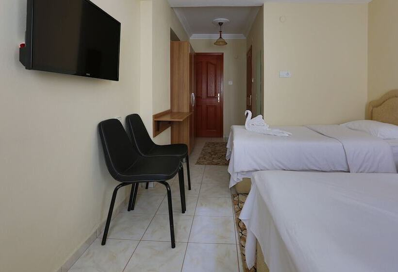 בית מלון כפרי Gizem Pansiyon