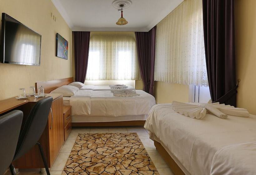 בית מלון כפרי Gizem Pansiyon