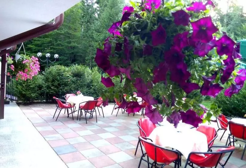 Hotel Hart