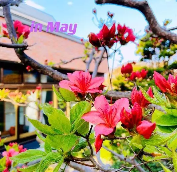 ベッドアンドブレックファースト Otarunishikien