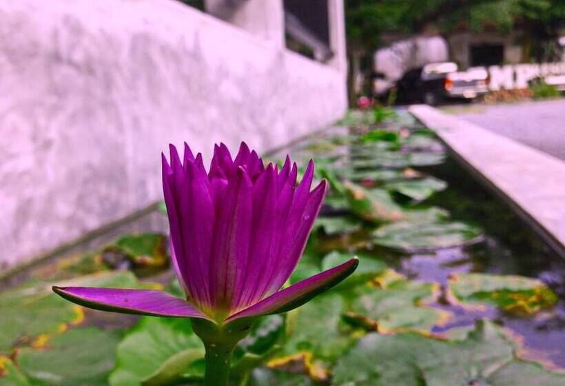 בית מלון כפרי B.m.p Resort