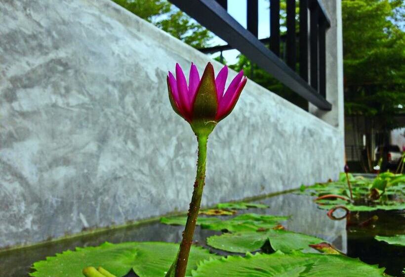 בית מלון כפרי B.m.p Resort