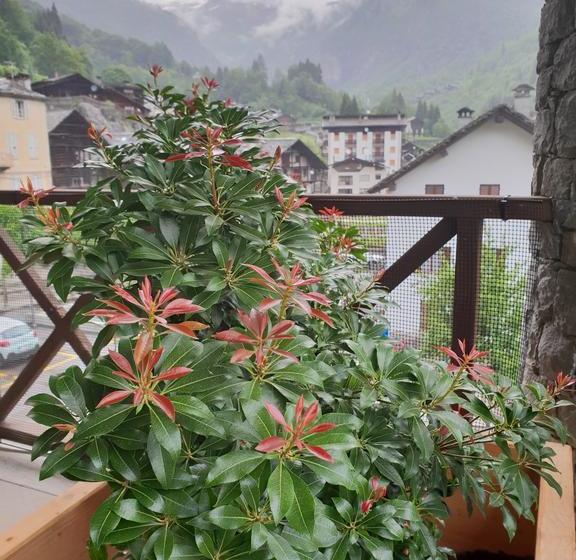 فندق Mh Olen Boutique