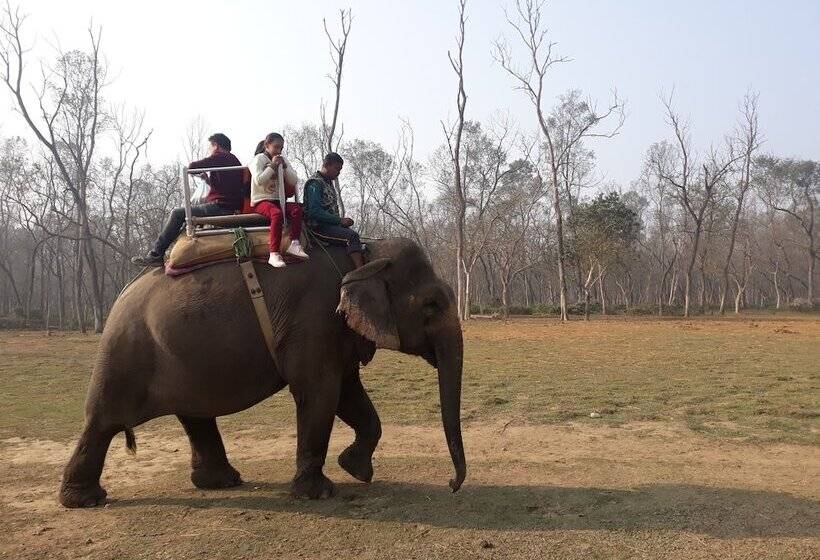 هتل Peacock   A Family Run