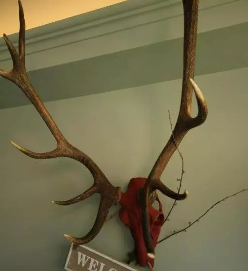 ホテル Restaurant Strümper Hof