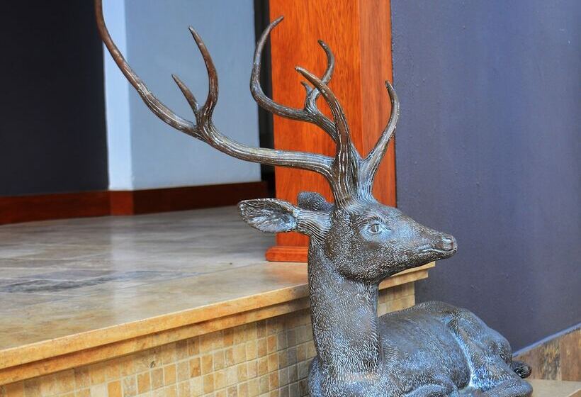 Mama Cuchara By Art Hotels