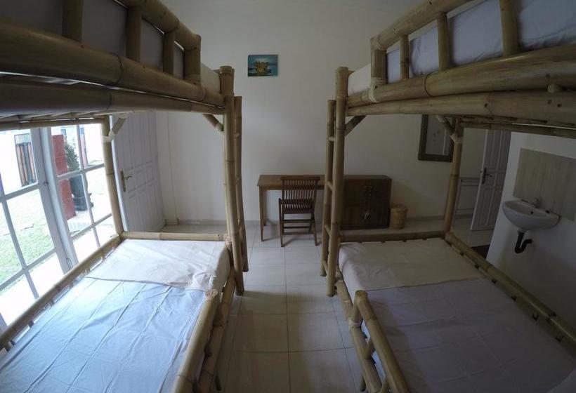 Palmyra Hostel