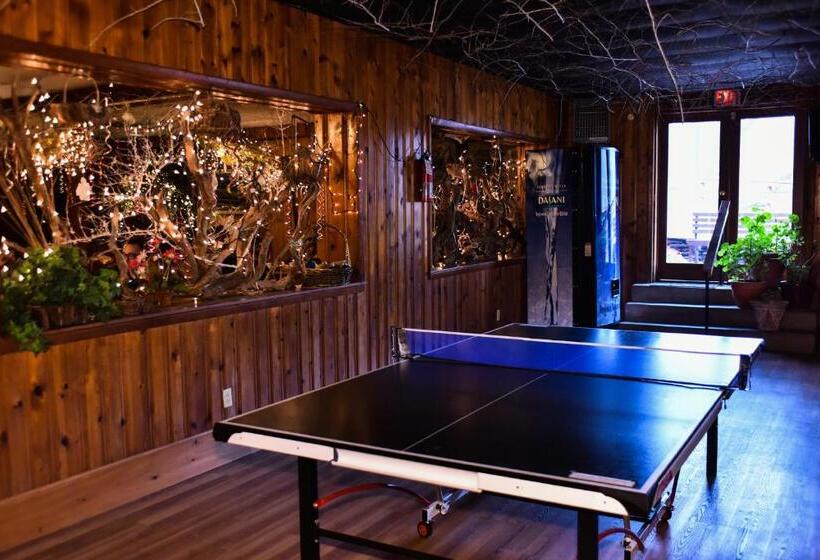 אתר נופש Xenia Lodge