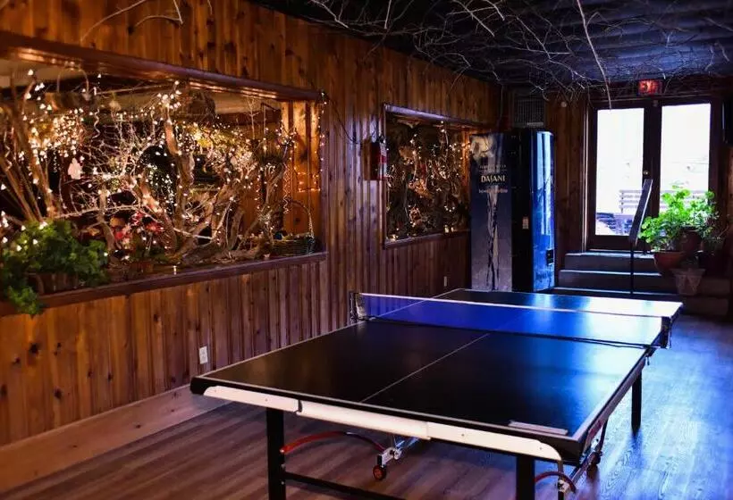 リゾートホテル Xenia Lodge