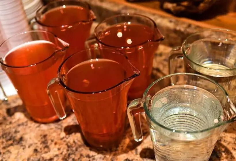 リゾートホテル Xenia Lodge