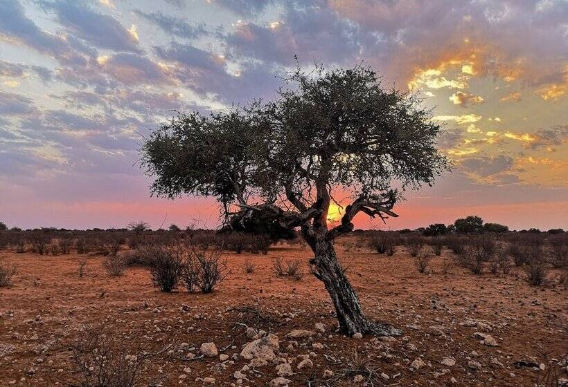 هتل Kalahari Anib Camping2go