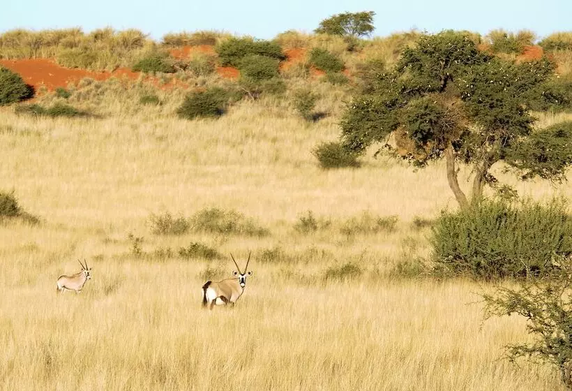 ホテル Kalahari Anib Camping2go