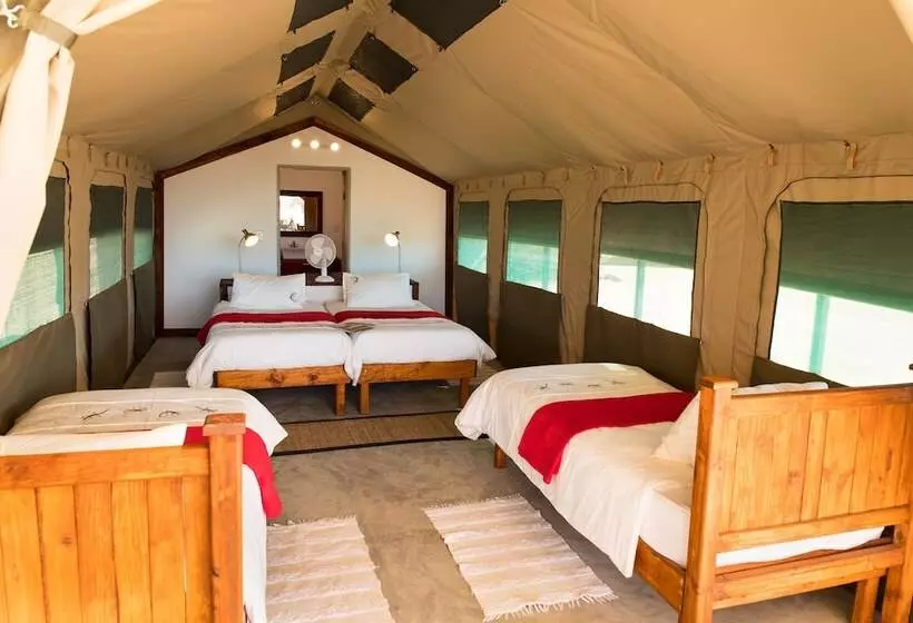 ホテル Kalahari Anib Camping2go