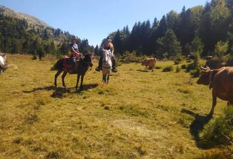 Maaseutuhotelli Farma Sotira