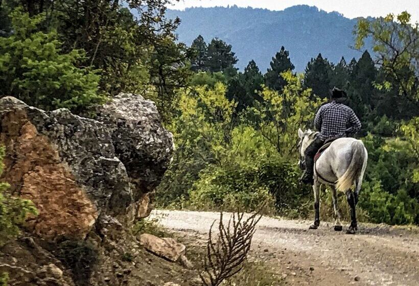 교외 호텔 Farma Sotira
