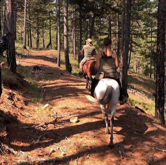 교외 호텔 Farma Sotira