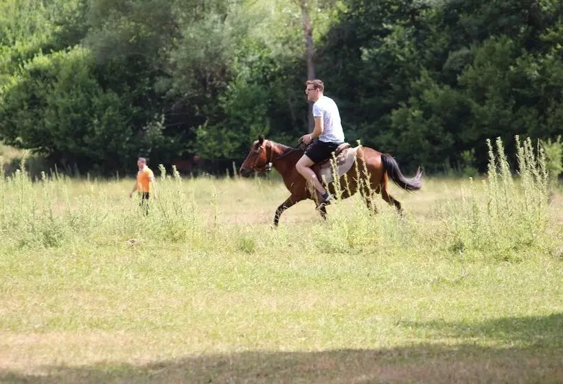 Maaseutuhotelli Farma Sotira