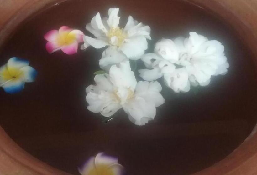 민박 Ruan Thai Bed And Coffee