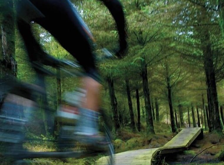 호텔 The Quigley Residence