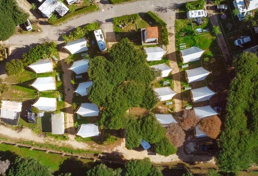 هتل Kampaoh El Palmar