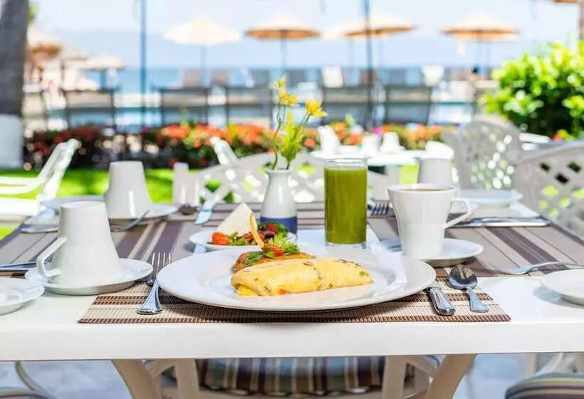 ホテル Villa Del Palmar Beach Resort And Spa   All Inclusive