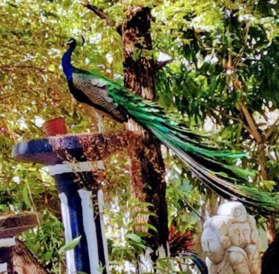 호텔 Hostalito El Greco