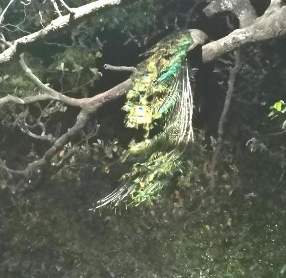 호텔 Hostalito El Greco