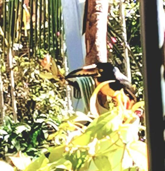 호텔 Hostalito El Greco