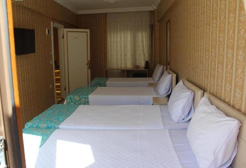 Fotos del hotel Omega Inn:  17