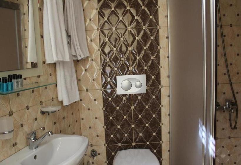 Fotos del hotel Omega Inn:  4