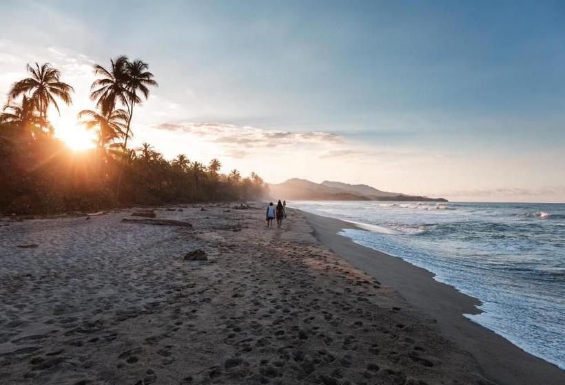 Bed and Breakfast Bohemia Beach