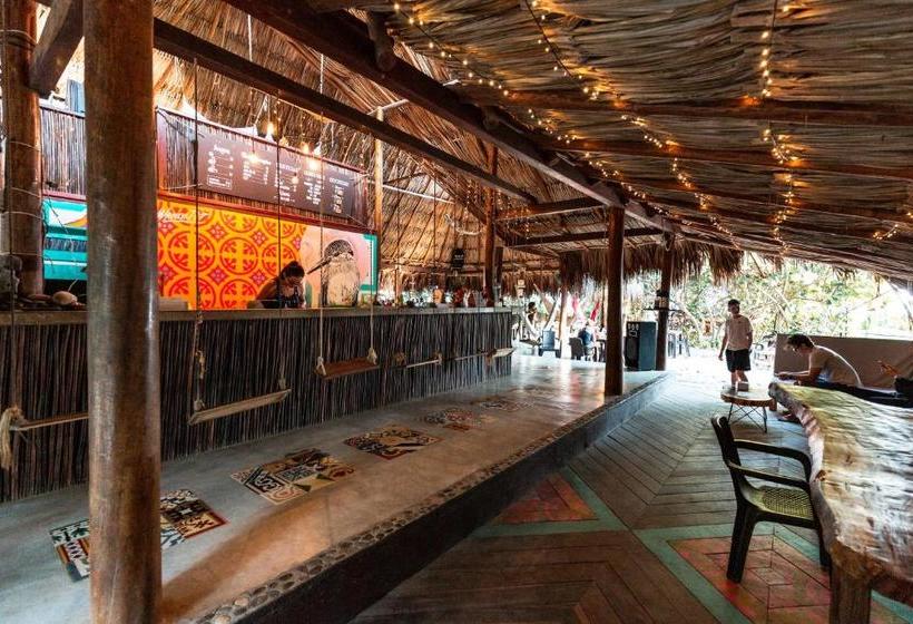 Bed and Breakfast Bohemia Beach