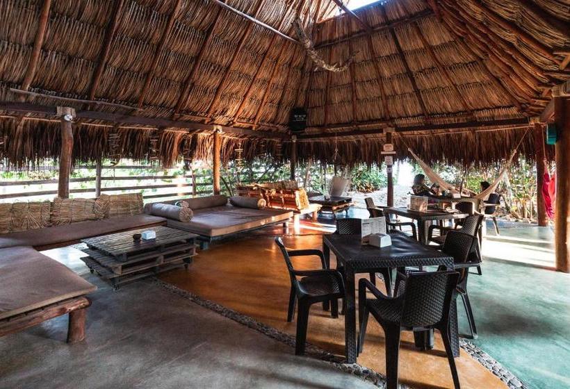 Bed and Breakfast Bohemia Beach