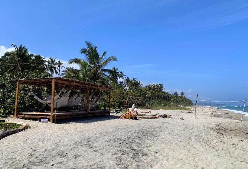 Bed and Breakfast Bohemia Beach