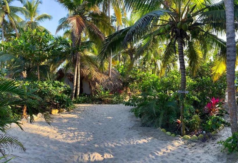 Bed and Breakfast Bohemia Beach