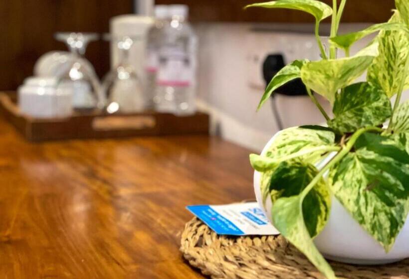 هتل Grand Rockland